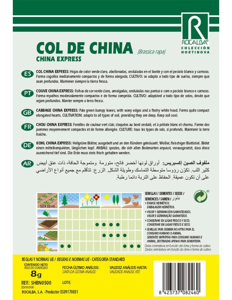 Expresso de semente de repolho chinês