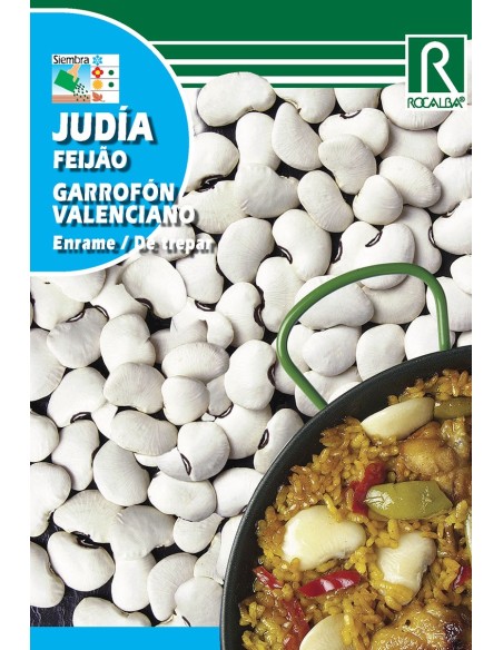 Semilla judía garrafón valenciano