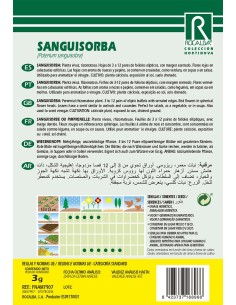 Pistola triple acción Germinova (600 ml) 2