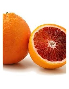Limonero (maceta de 17 cm Ø)