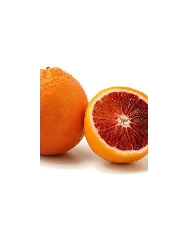 Limonero (maceta de 17 cm Ø)