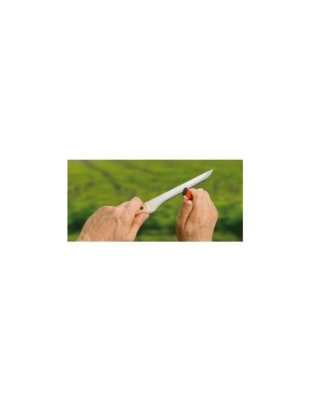 Cintes per empeltar 70 cm