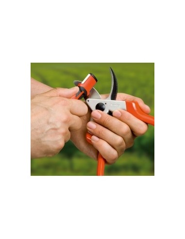 Cintes per empeltar 70 cm