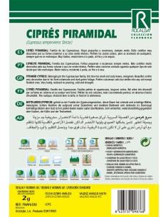 Semente de cipreste piramidal 2