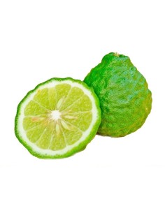 LLima Combava 2