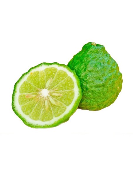 Lima Combava