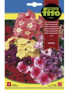 Llavor Flox de Drummond