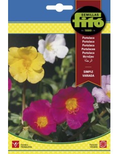 Llavor Portulaca doble variada