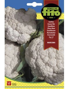 Llavor Coliflor Maresma