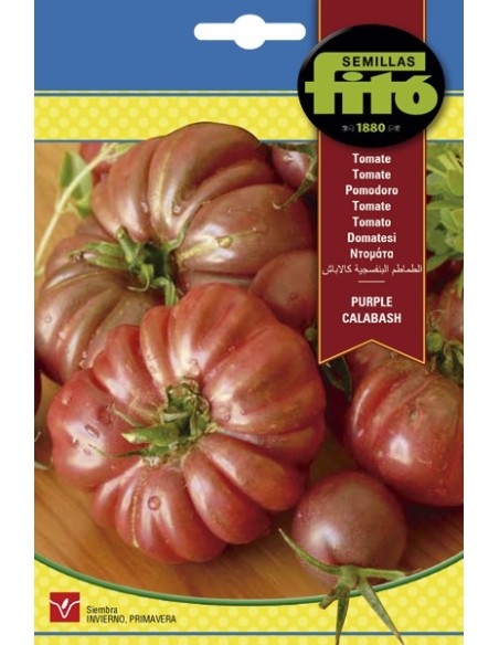 Semente de tomate cabaça roxa