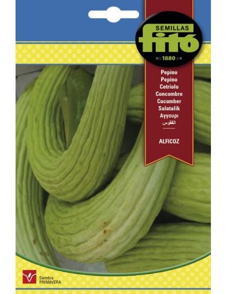 Llavor hortícola Cogombre Negrito
