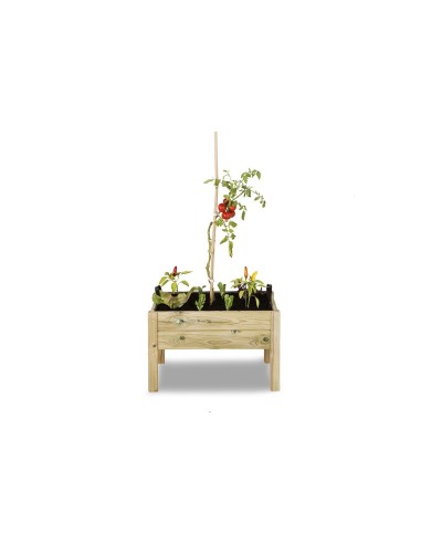 Box de fusta  (120x80x30)