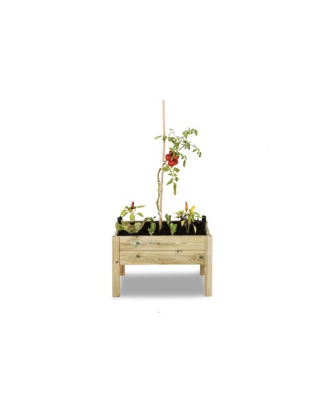 Box de fusta  (120x80x30)