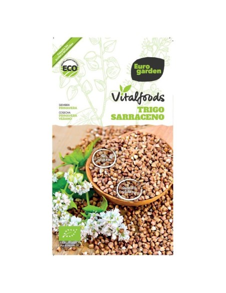 Semilla Trigo Sarraceno Vitalfoods