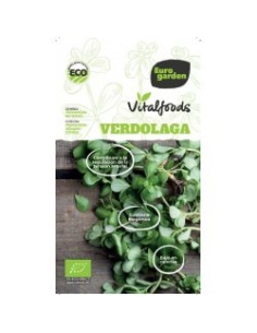 Semente Beldroega Vitalfoods