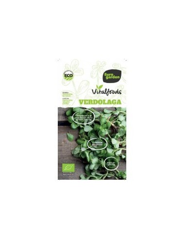 Semente Beldroega Vitalfoods