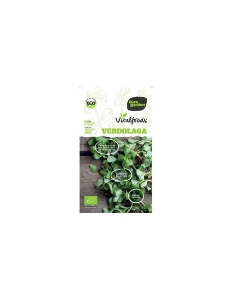 Semente Beldroega Vitalfoods
