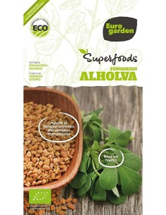 Llavor hortícola Cogombre Negrito