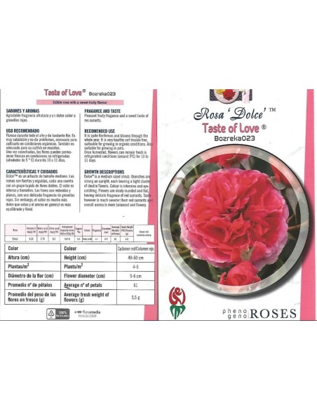 Rosal comestible (maceta 14 cm ø), colores y sabores a escojer