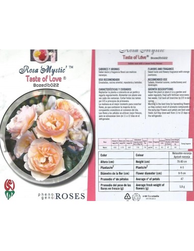 Roser comestible (test 14 cm ø), colors i sabors a escollir