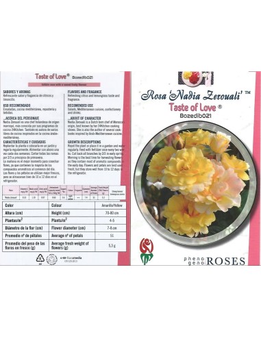 Rosal comestible (maceta 14 cm ø), colores y sabores a escojer