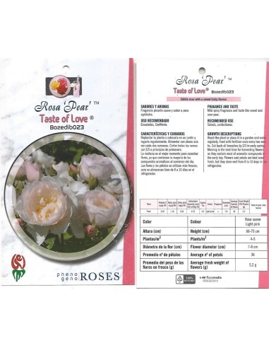 Roseira comestível (vaso 14 cm ø), cores e sabores a escolher