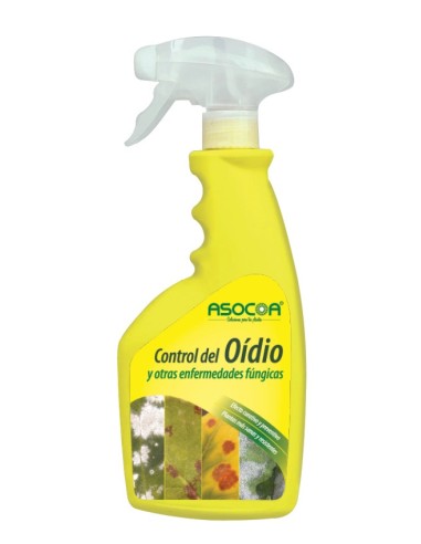 Pistola de controle de oídio Asocoa (600ml)