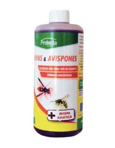 Cebo trampa avispa clac
