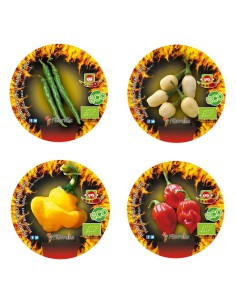 Pack 3 Pimento picante (vaso de 10,5 cm Ø)