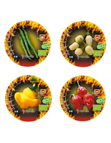 Pack 3 Pimento picante (vaso de 10,5 cm Ø)