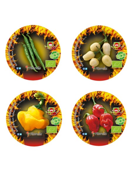 Pack 3 pebrots picants variats (test 10,5 cm Ø)