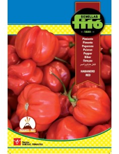 Semilla pimiento Habanero rojo