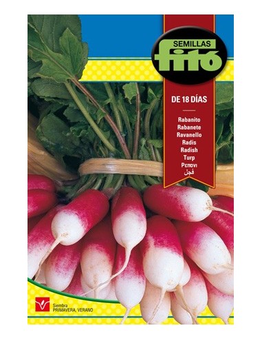 Semilla rabanito super rapido