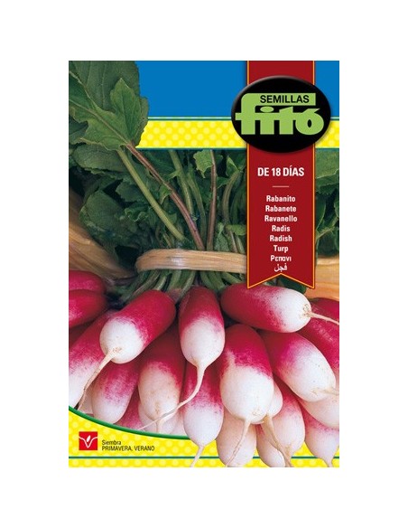Semilla rabanito super rapido