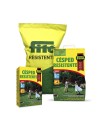 Semilla Césped Resistente