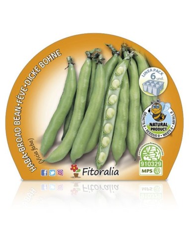 Feijão ecológico (6 unidades)