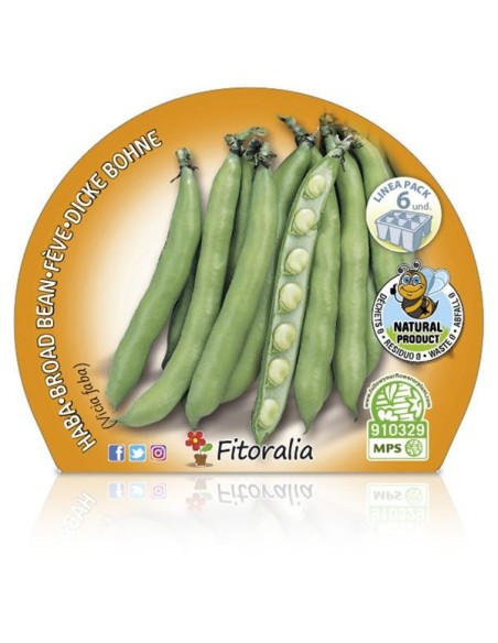Feijão ecológico (6 unidades)