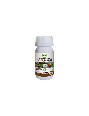 Urtica