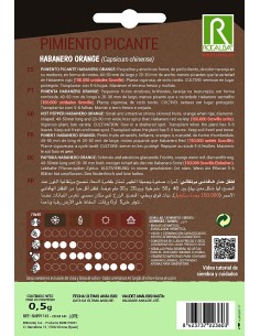 Semente de pimentao Habanero Orange (150.000 scoville) 2