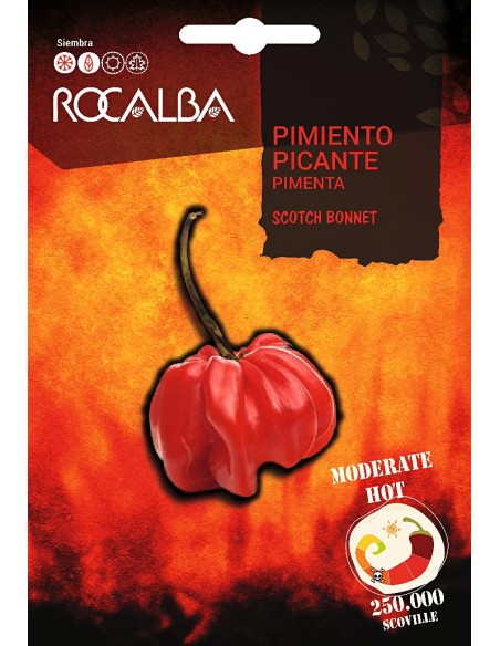 Semente de pimentao Scotch Bonnet (250.000 scoville)