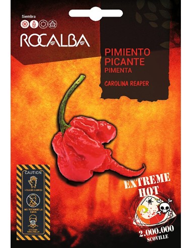 Llavor aromàtica Cilantre
