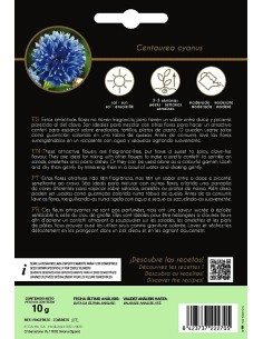 Semente centaurea - Doce 2