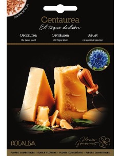 Llavor aromàtica Cilantre
