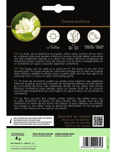 Llavor aromàtica Cilantre 2