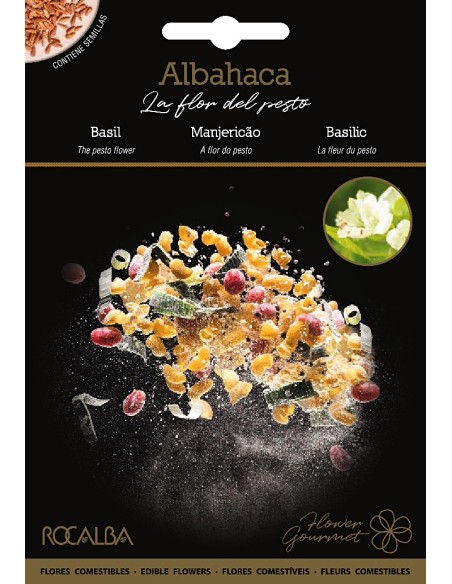 Llavor alfàbrega - Flor de pesto