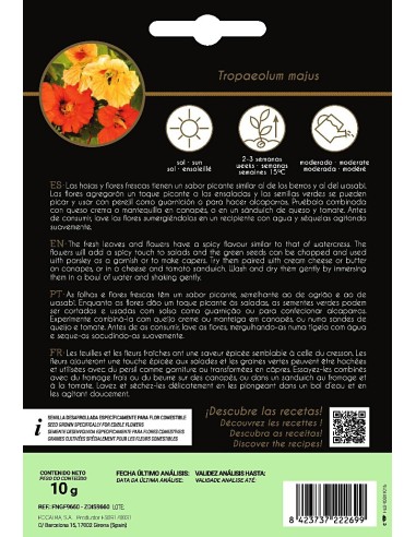 Llavor aromàtica Cilantre