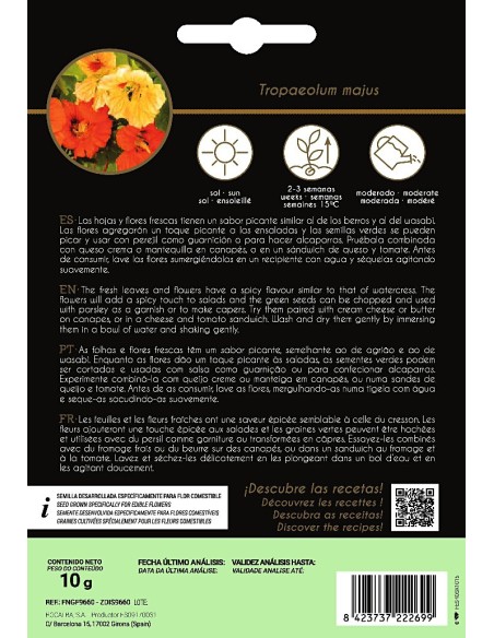 Llavor aromàtica Cilantre