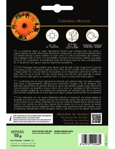 Llavor aromàtica Cilantre 2