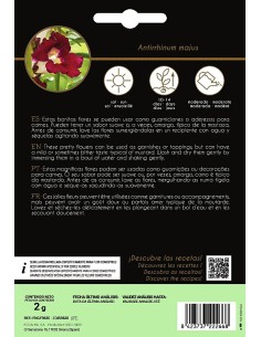 Semente antirrhinum - uma mostarda diferente 2