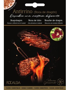 Llavor aromàtica Cilantre
